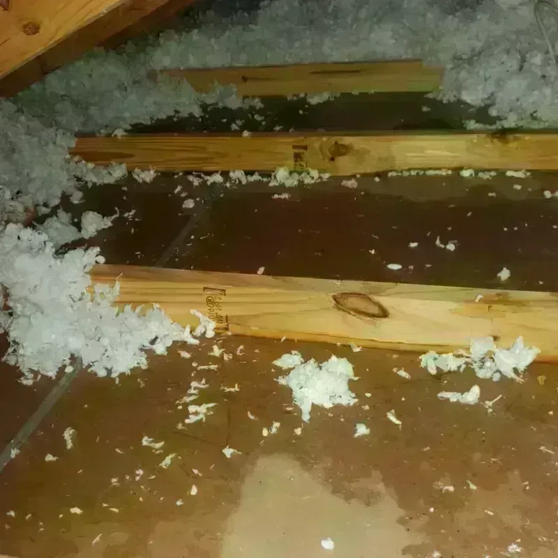 Attic Water Damage in Dellwood, MO