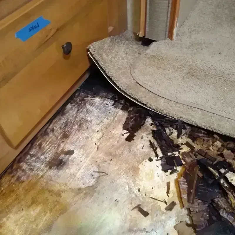 Wood Floor Water Damage in Dellwood, MO